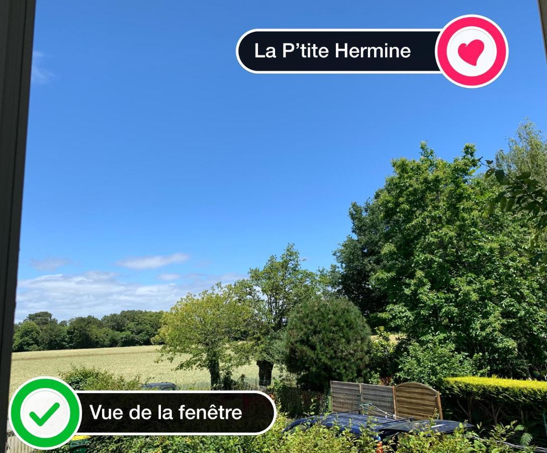 Férel Aux Petits Bonheurs, Gites Culturel A La Roche Bernard מראה חיצוני תמונה